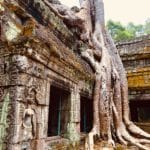 Ta Prohm | Angkor Wat mit Kind | 3 Tage Sehenswürdigkeiten und Dschungeltempel Tomb Raider Bayon Tempel in Angkor Wat | Kambodscha Tempel | www.anomadabroad.com