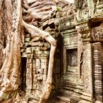 Ta Prom | Angkor Wat mit Kind | 3 Tage Sehenswürdigkeiten und Dschungeltempel Tomb Raider Bayon Tempel in Angkor Wat | Kambodscha Tempel | www.anomadabroad.com
