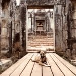 Prae Rup | Angkor Wat mit Kind | 3 Tage Sehenswürdigkeiten und Dschungeltempel Tomb Raider Bayon Tempel in Angkor Wat | Kambodscha Tempel | www.anomadabroad.com
