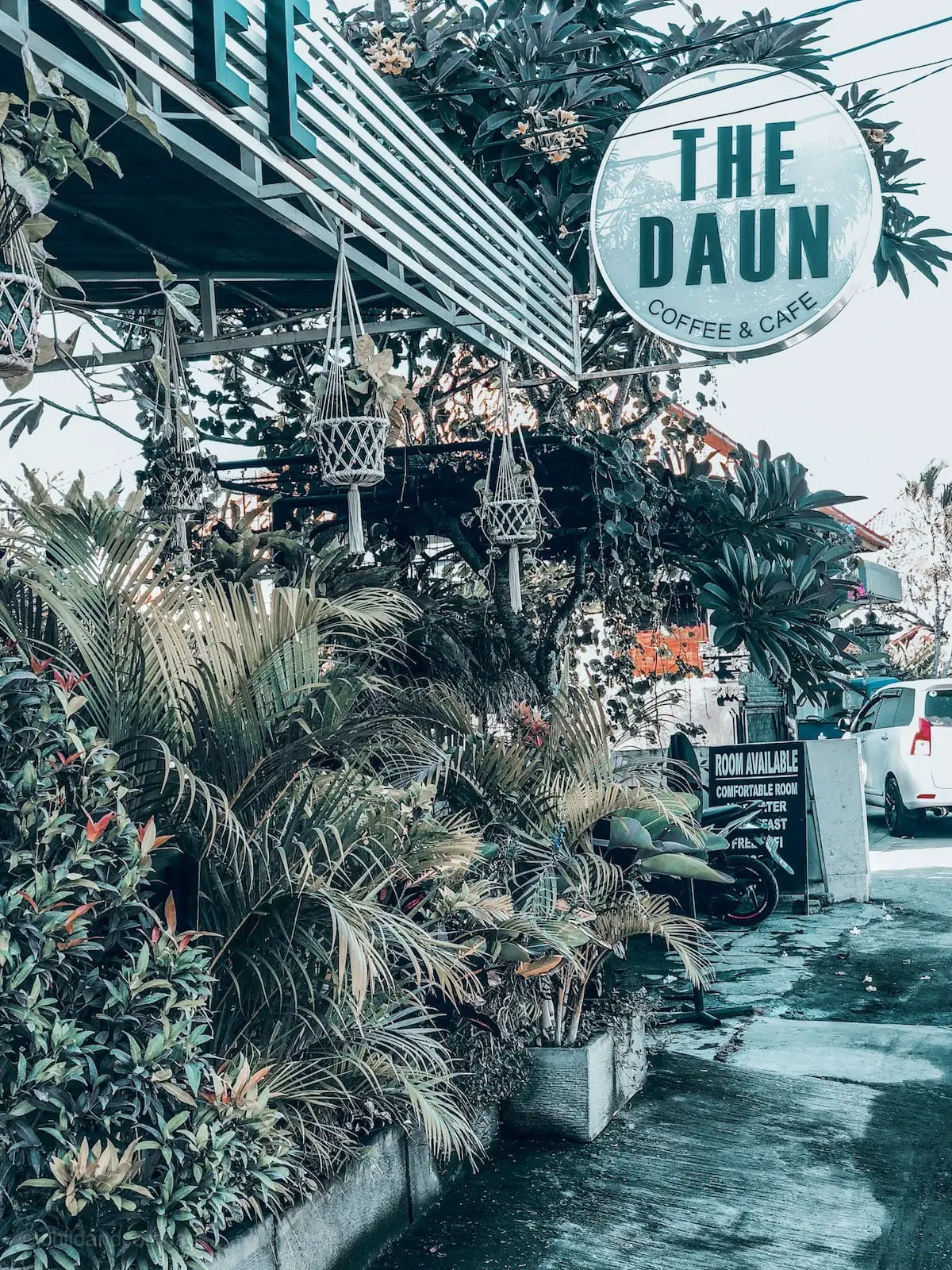 Die besten Cafés und Restaurants in Canggu, Bali Food Guide, most instagrammable breakfast cafés in Bali, Canggu organic food, vegan auf Bali, vegan in Canggu, the daun