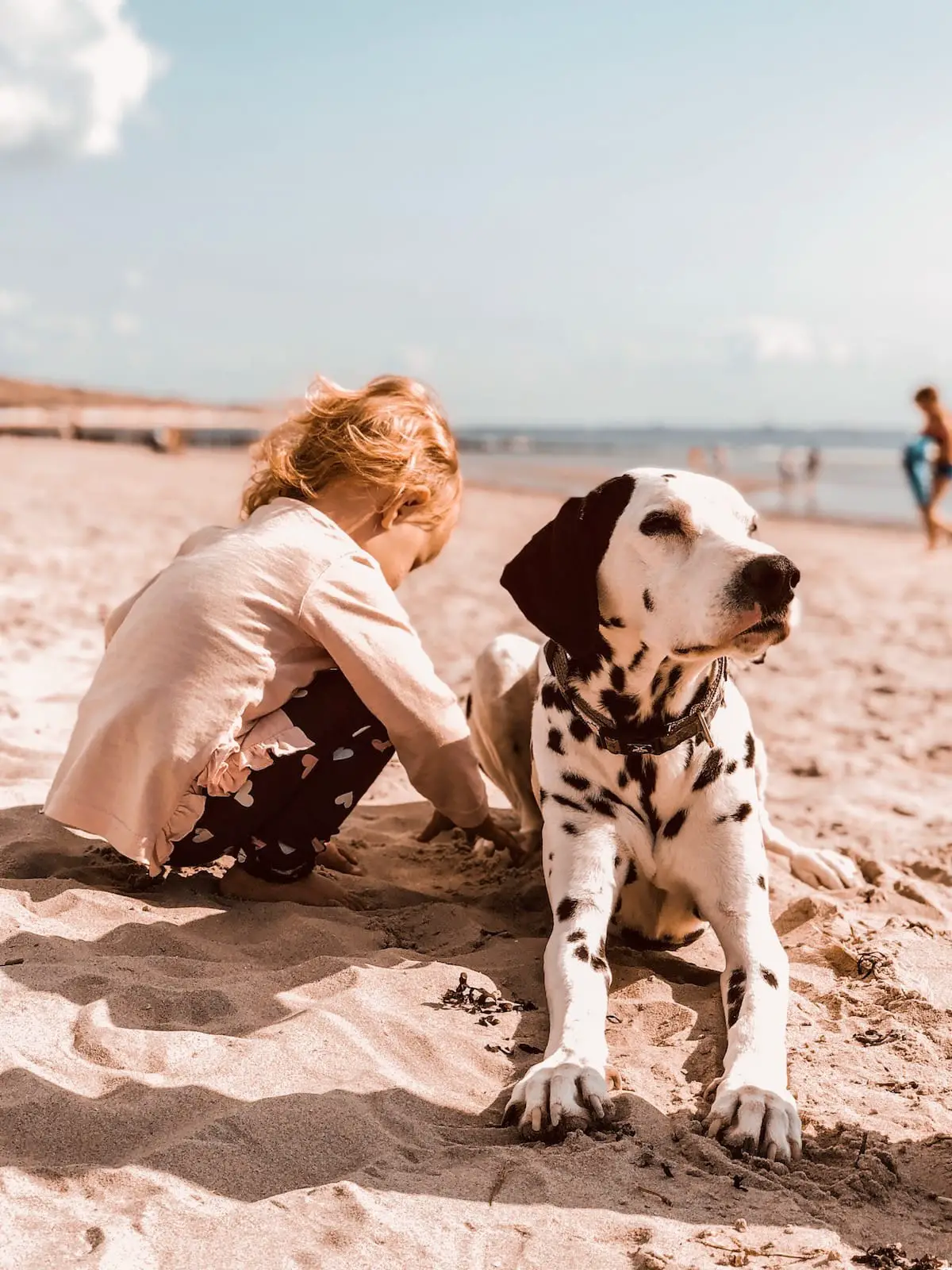 Zoutelande mit Kind und Hund, Holland Urlaub, Strände in Holland, Zeeland