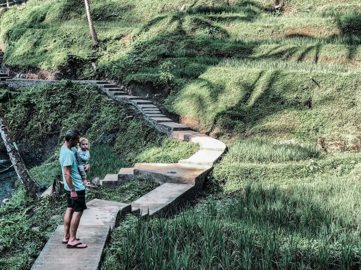 Reisfelder Tegalalang Reisterrassen Ubud, Bali - Sehenswürdigkeiten und Reisetipps für deinen Urlaub in Indonesien