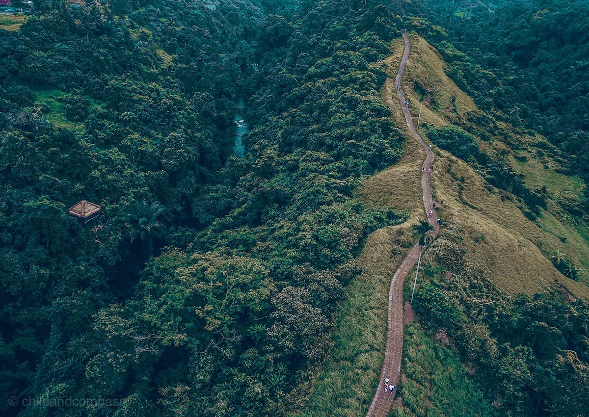Campuhan Ridge Walk Ubud, Bali - Sehenswürdigkeiten und Reisetipps für deinen Urlaub in Indonesien