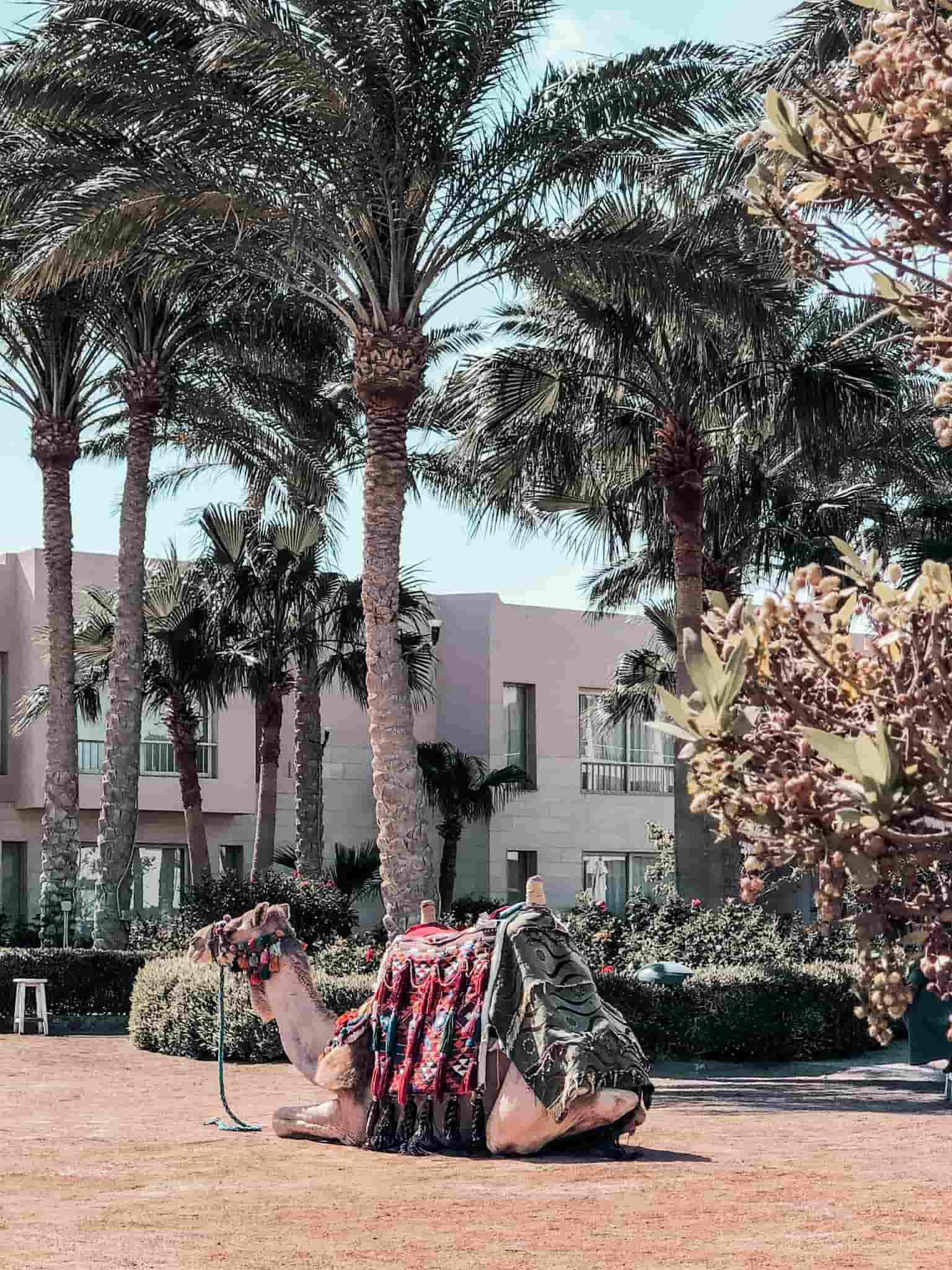 Ägypten alleine als Frau bereisen, Ägypten mit Kind, Hurghada Sehenswürdigkeiten, Sicherheit in Ägypten