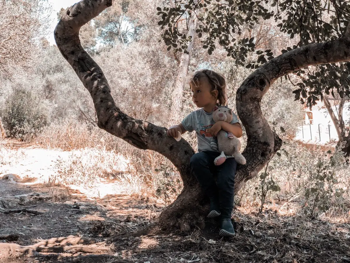 Kind auf Baum in Palma